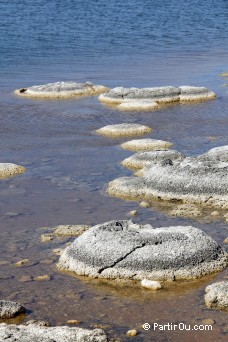 Lake Thetis - Nambung National Park - Australie