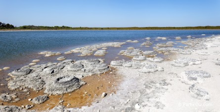 Lake Thetis - Nambung National Park - Australie