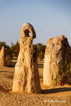 Pinnacles Desert - Nambung National Park - Australie