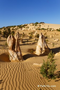 Pinnacles Desert - Nambung National Park - Australie