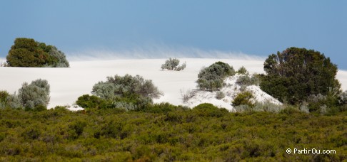 Dunes de sable blanc - Nambung National Park - Australie